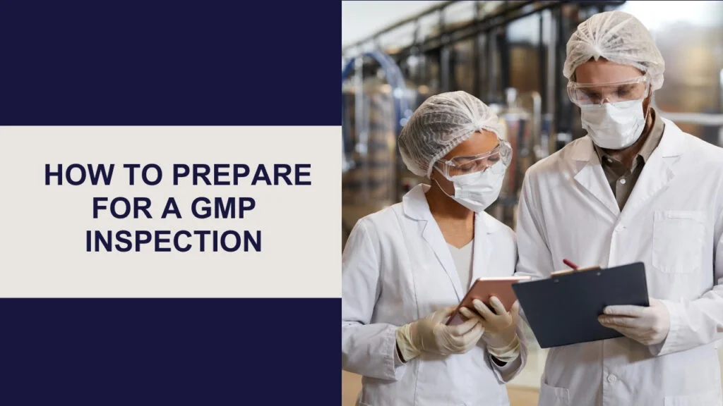 How to prepare for GMP inspectio