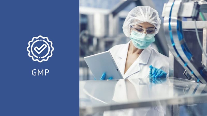 Doctor reviewing pharmaceutical quality standards with “GMP” and a check mark symbolizing compliance and approval.