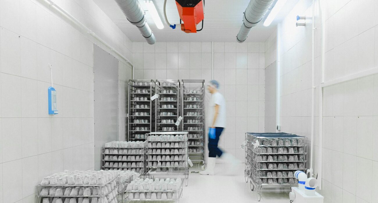 What Is Temperature Mapping and Why Is It Critical for Pharma Storage?